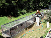 Unfinished cedar garden plots