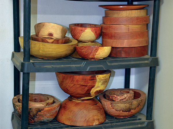 Found Wood in the Arizona Desert