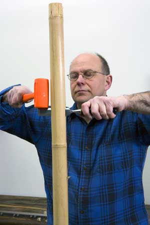 Initial splitting of culm.